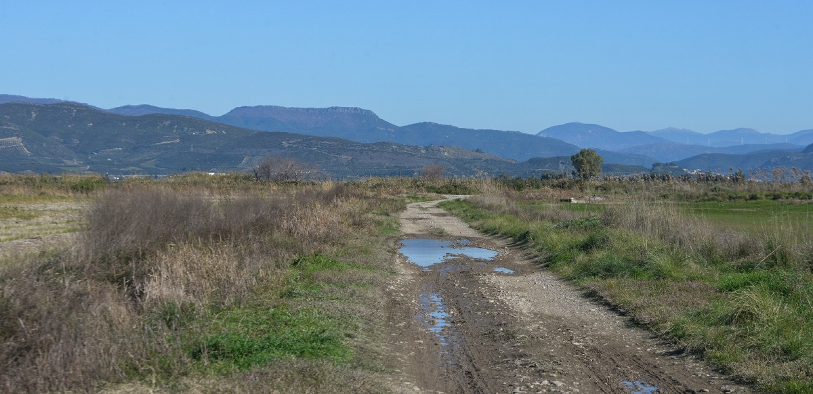 Μεσολόγγι: Τι έδειξε η ιατροδικαστική εξέταση του Μπάμπη