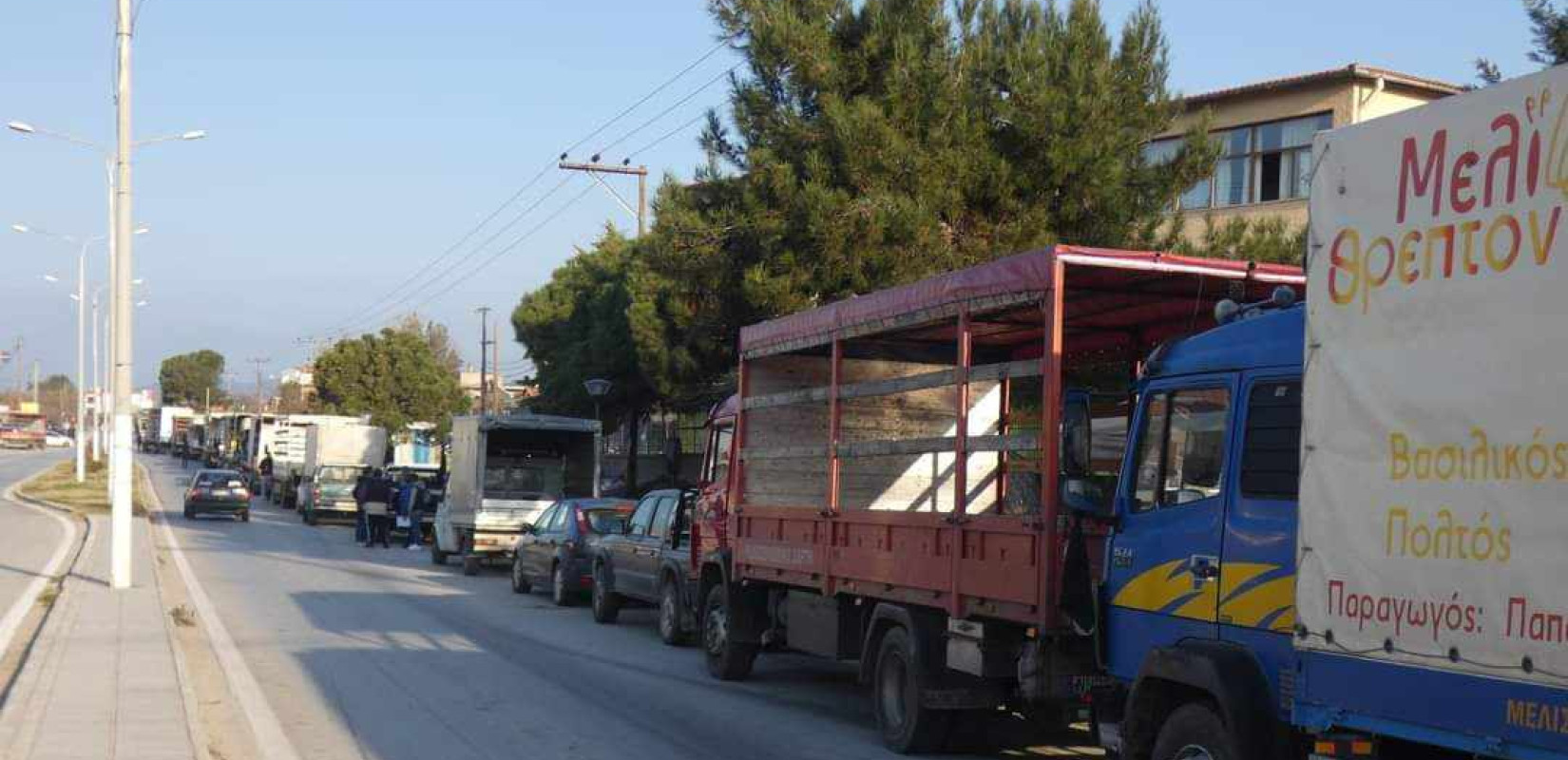 Με 100 φορτηγά οι μελισσοκόμοι της Χαλκιδικής στη ΔΕΘ - Οι διεκδικήσεις τους