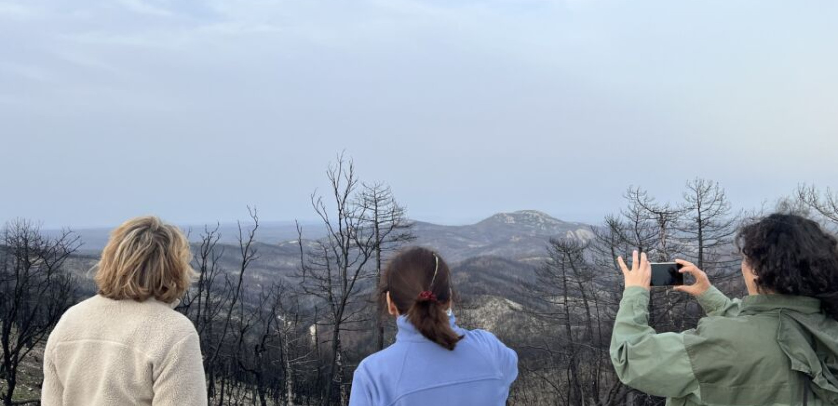 Δάσος Δαδιάς: Τα αρπακτικά φωλιάζουν ξανά στα καμένα δέντρα