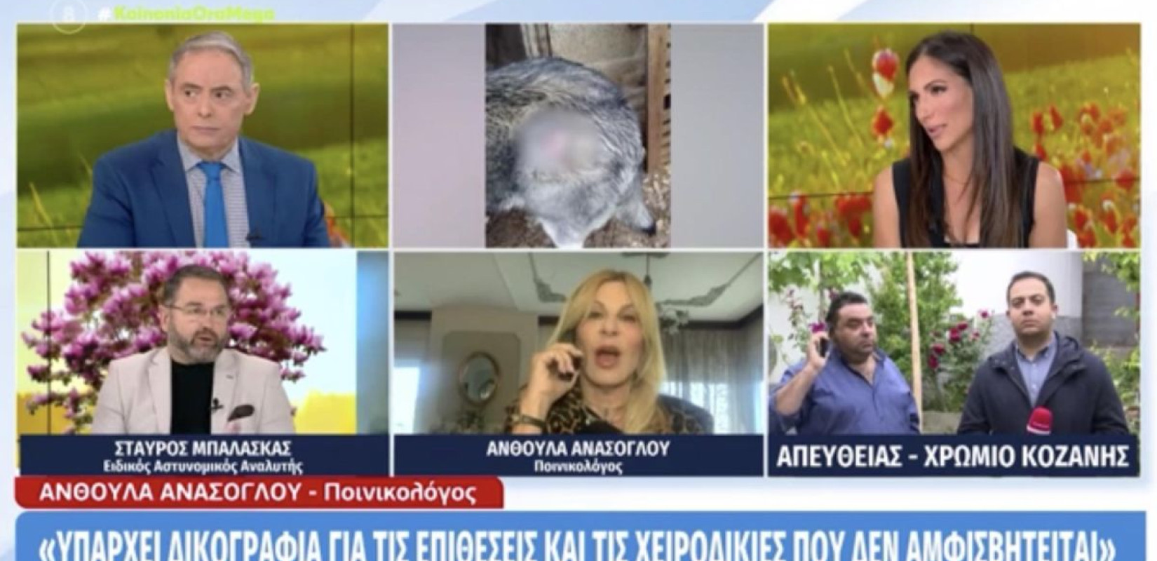 Χαμός στον αέρα με Μπαλάσκα - Ανάσογλου - Αποκάλεσε την δικηγόρο Χίτλερ (βίντεο)