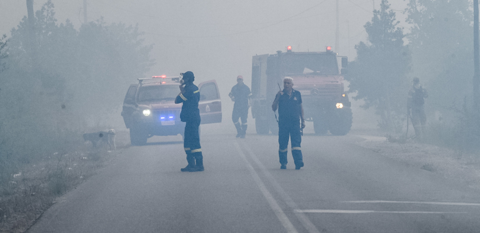 Ιωάννινα: Υπό μερικό έλεγχο η πυρκαγιά σε δασική έκταση στην Δροσοπηγή