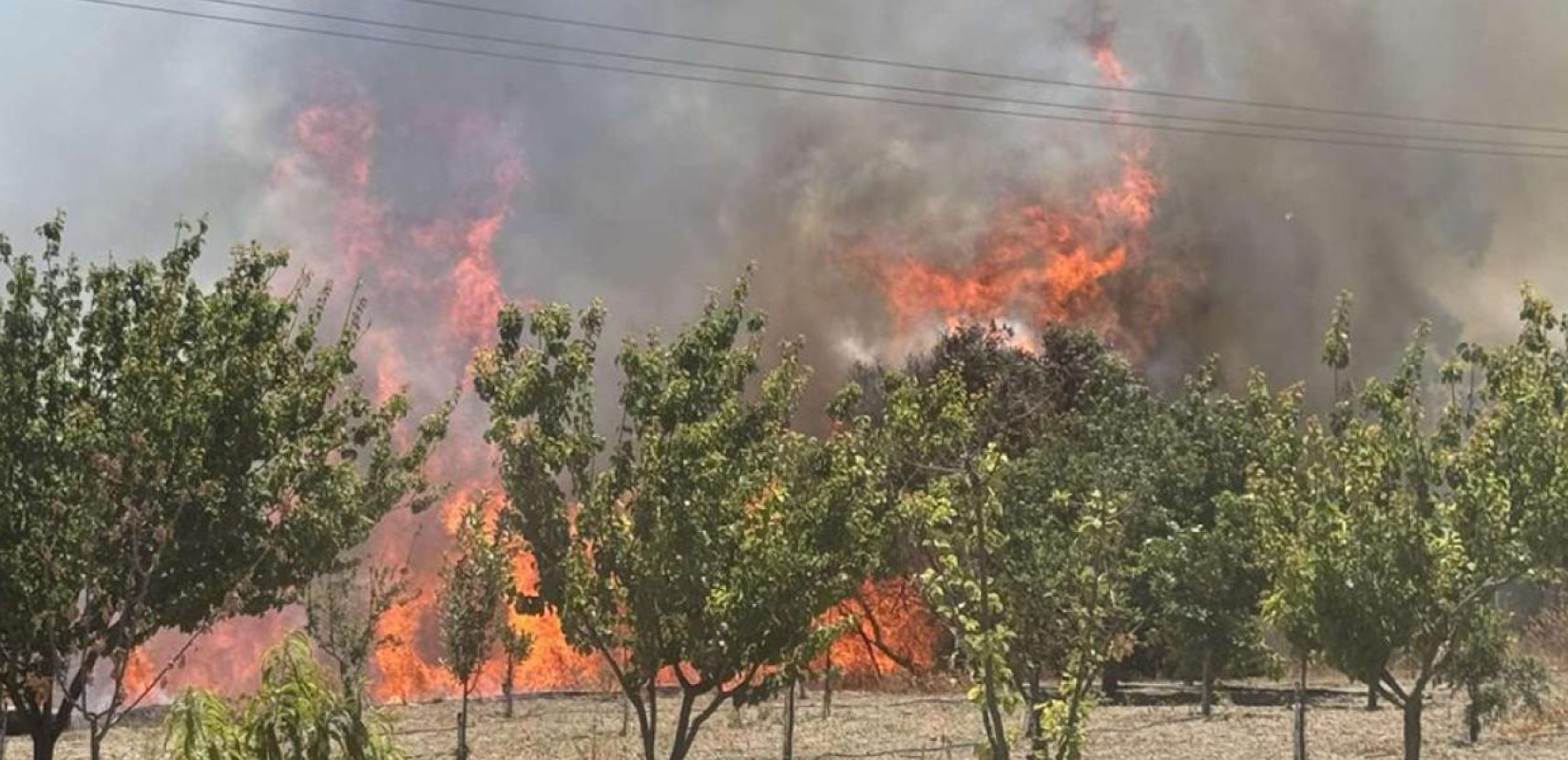 Φωτιά στην Κω - Ενισχύθηκαν οι δυνάμεις της Πυροσβεστικής