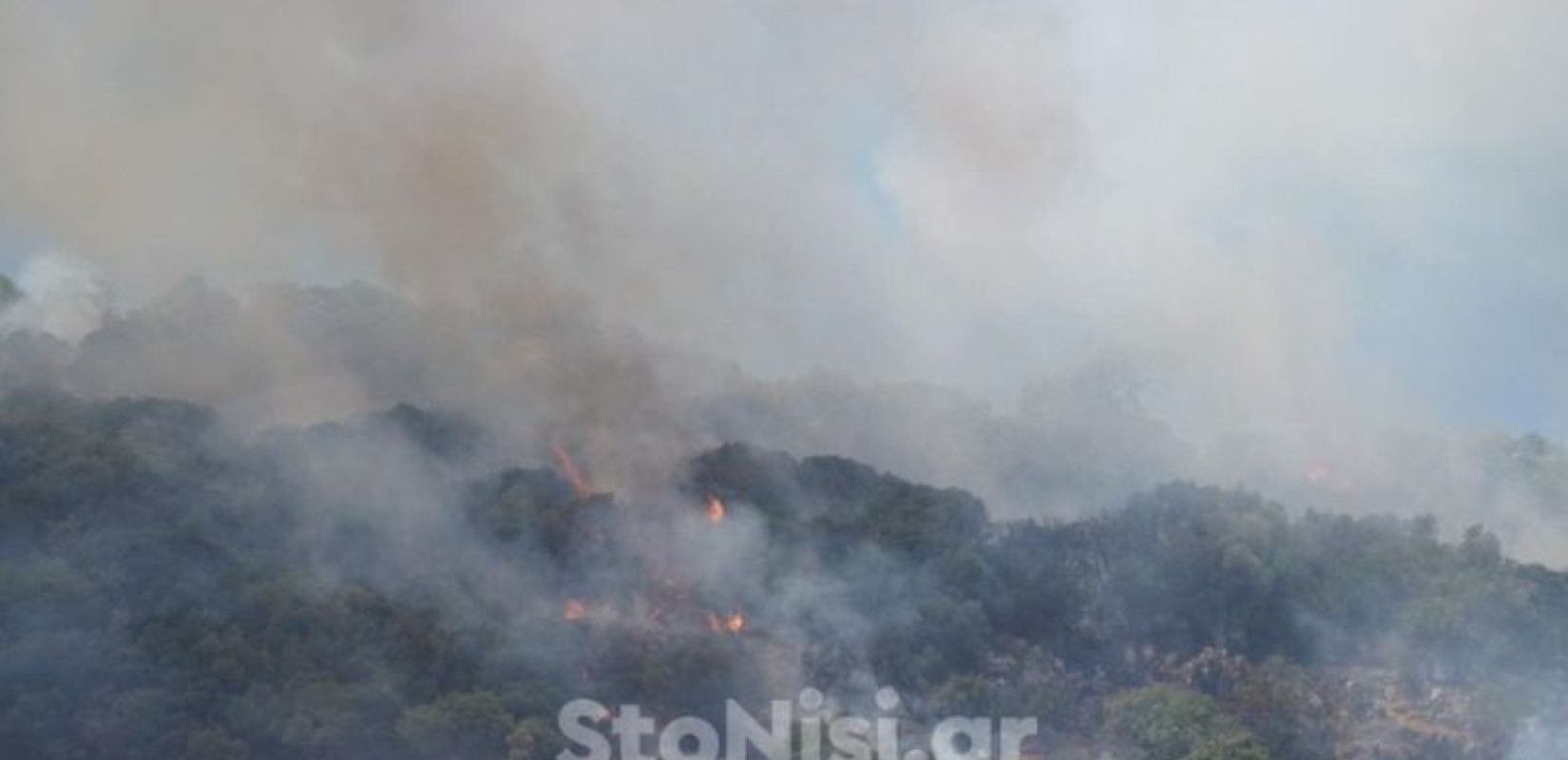 Λέσβος: Υπό έλεγχο η πυρκαγιά στον Μανταμάδο (βίντεο)