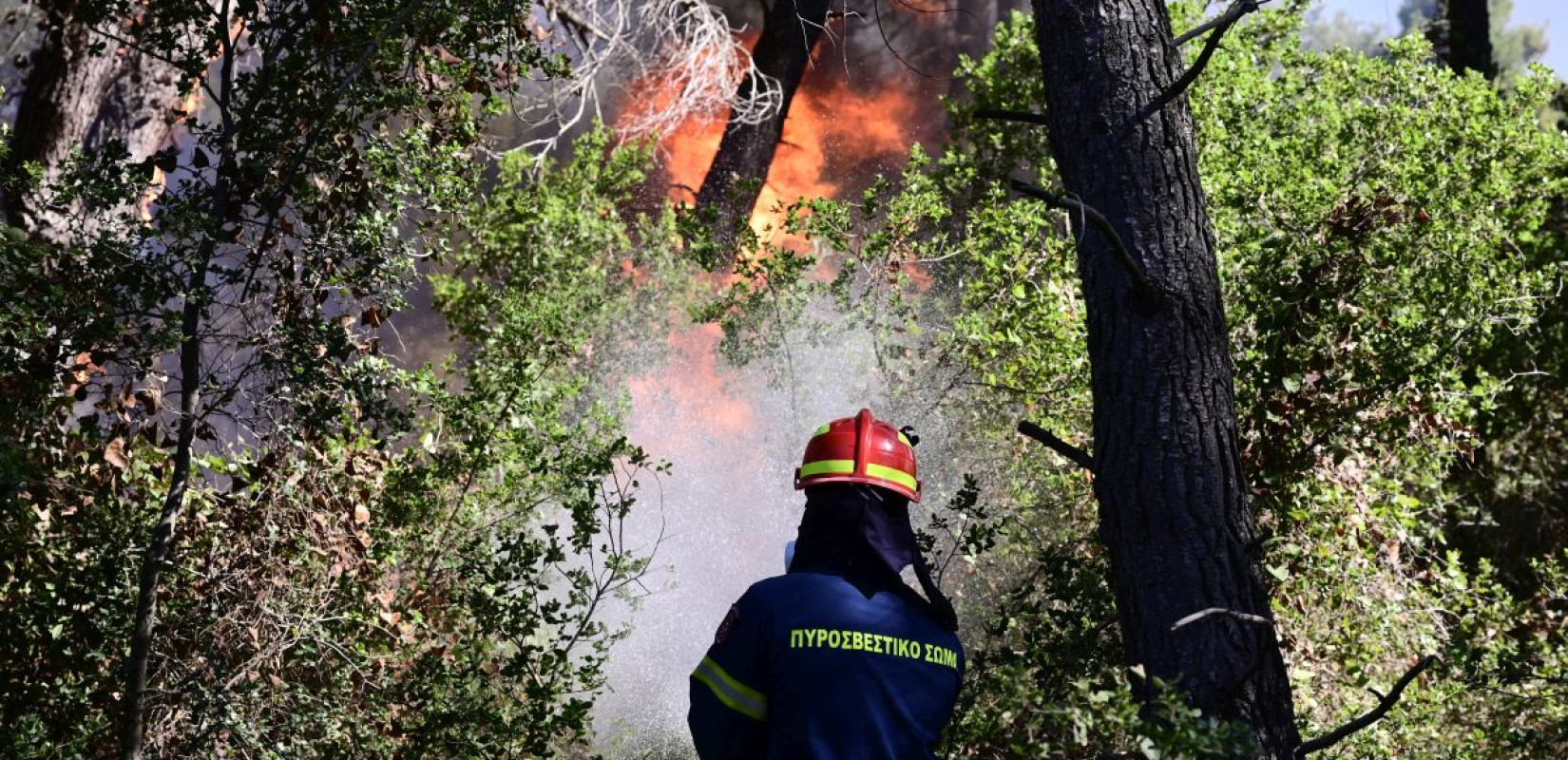 Μαίνεται η φωτιά μεταξύ Παχιάς Άμμου και Ιεράπετρας στην Κρήτη (βίντεο, φωτ.)