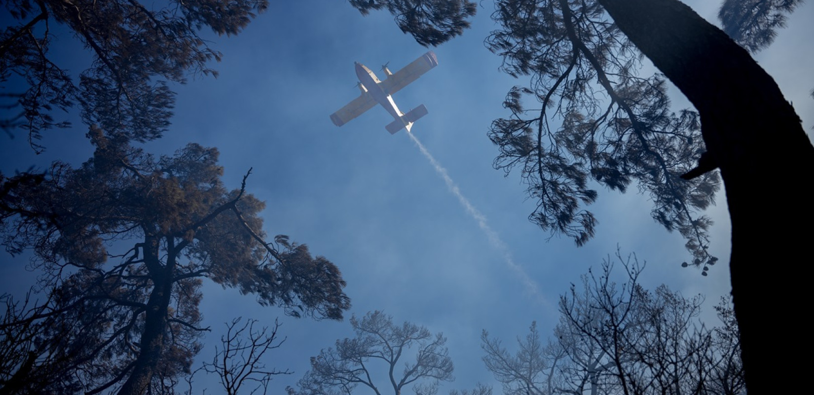 Σε εξέλιξη πυρκαγιά στην Τζιά - Μήνυμα του 112 για εκκένωση της Λυγιάς (βίντεο)