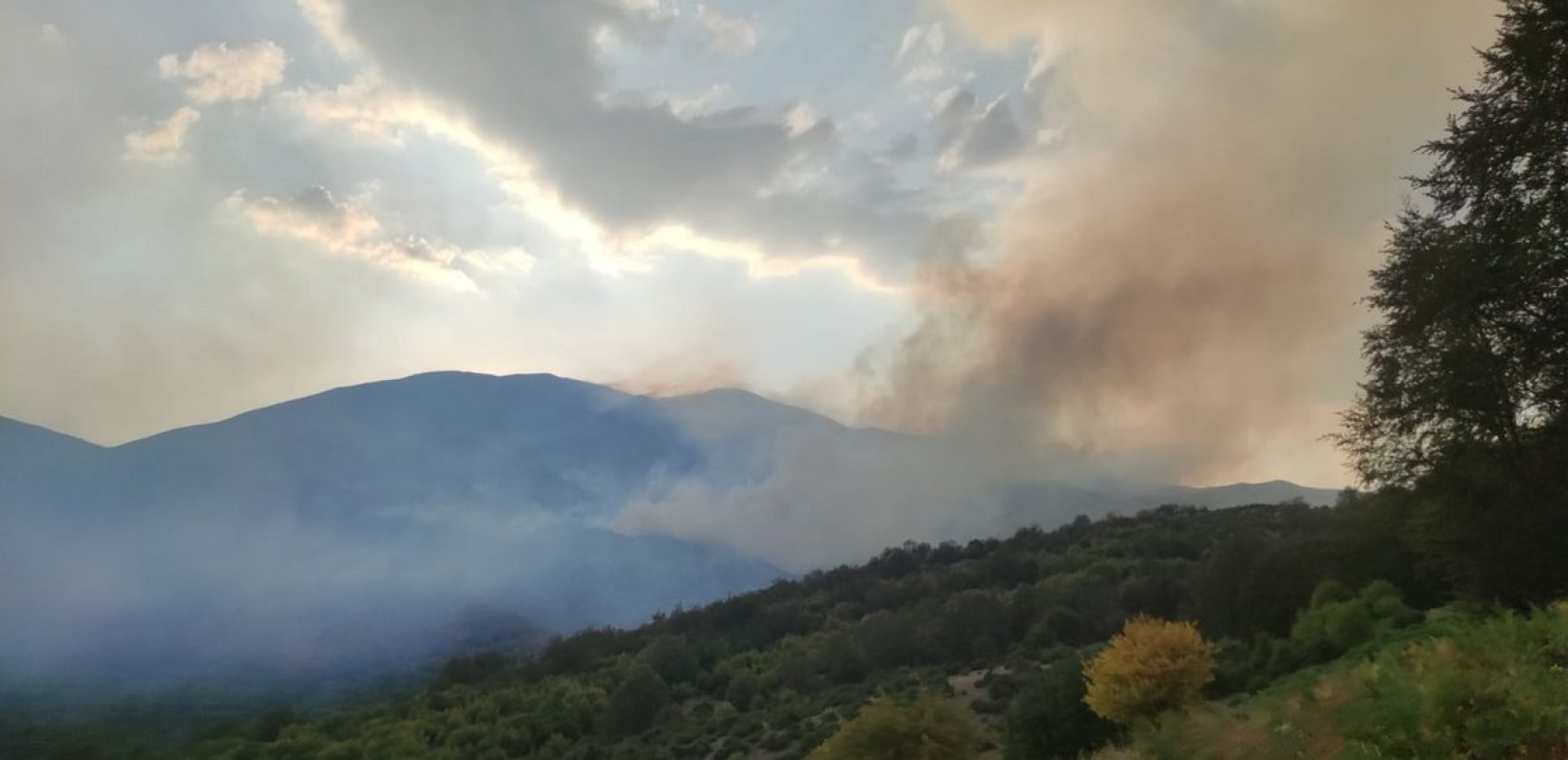 Φαλακρό: Πόσες χιλιάδες στρέμματα επηρέασε η φωτιά που έκαιγε μια εβδομάδα - Δείτε χάρτη