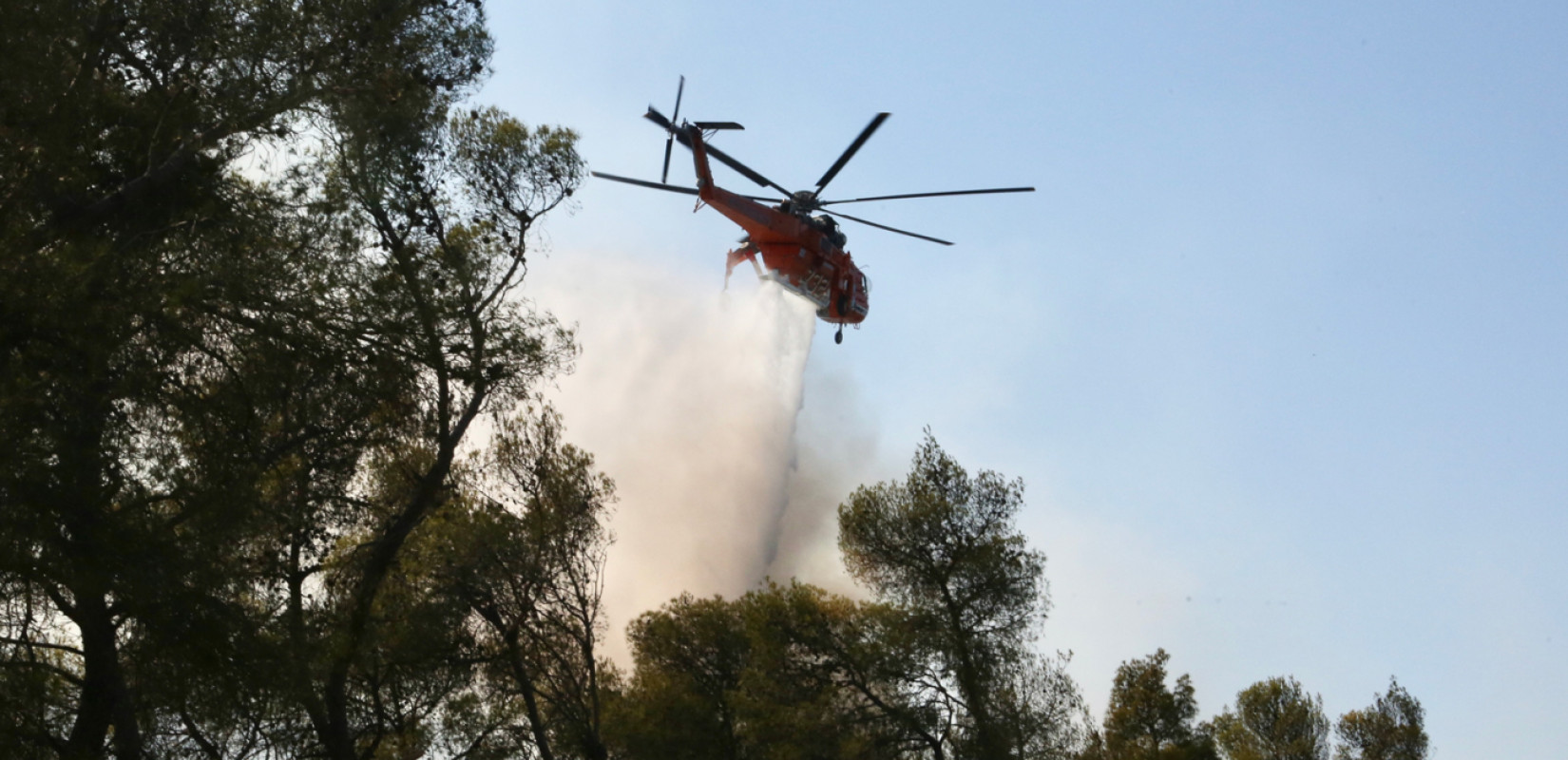 Φωτιά σε δασική έκταση στην περιοχή Σίτνα στη Δράμα