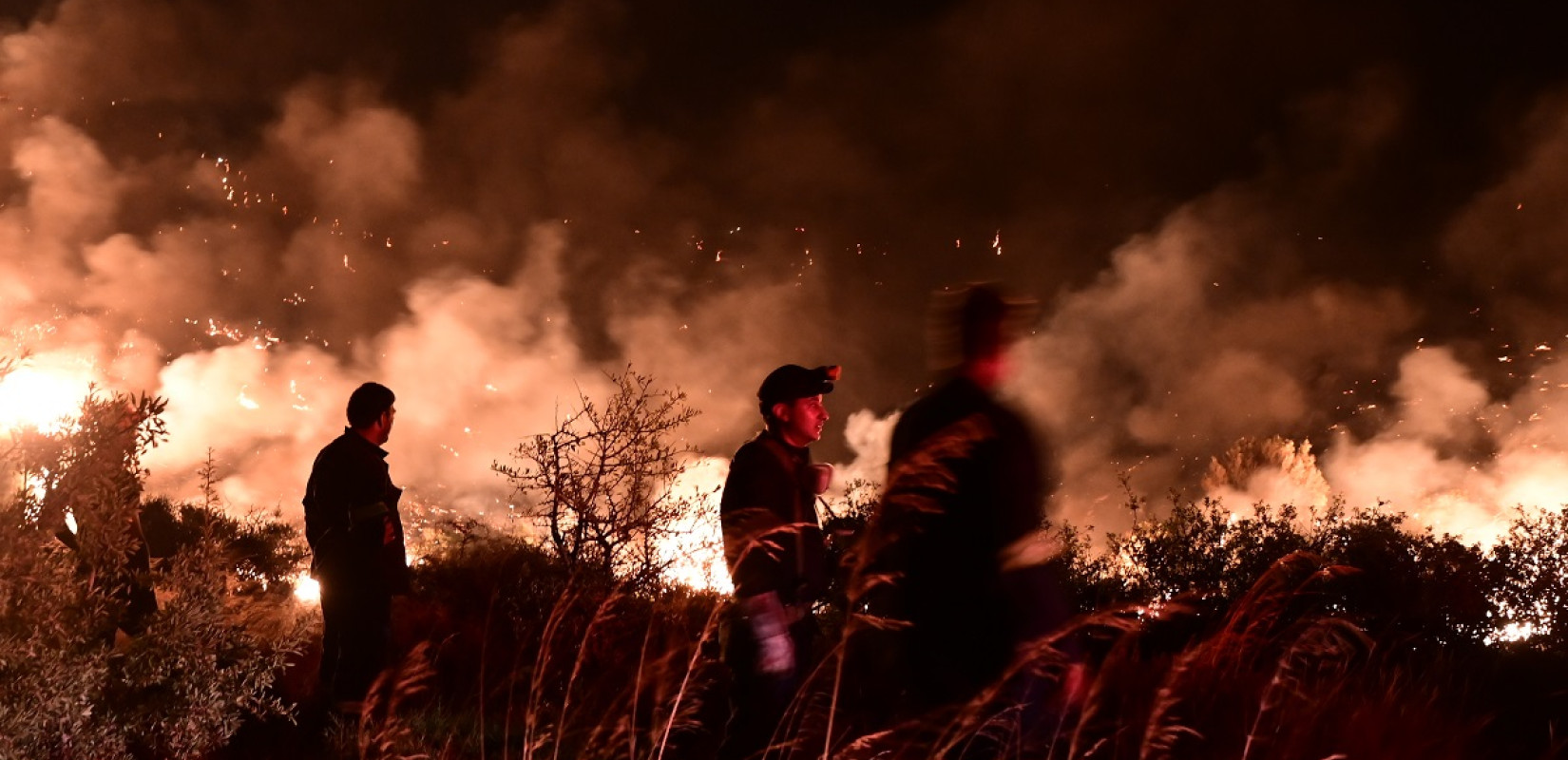 Πυροσβεστική: 34 αγροτοδασικές πυρκαγιές το τελευταίο 24ωρο σε όλη τη χώρα