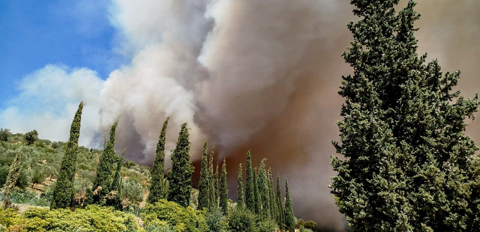 Μάχη σε 27 πύρινα μέτωπα έδωσε η πυροσβεστική σε ένα 24ωρο