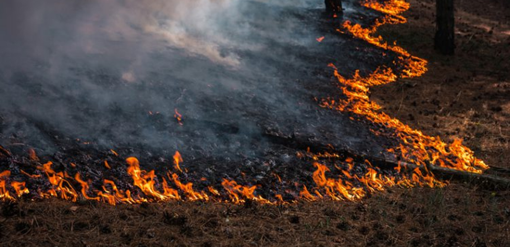 Φωτιά στο Παγγαίο Καβάλας - Καίει στην περιοχή Αυγό