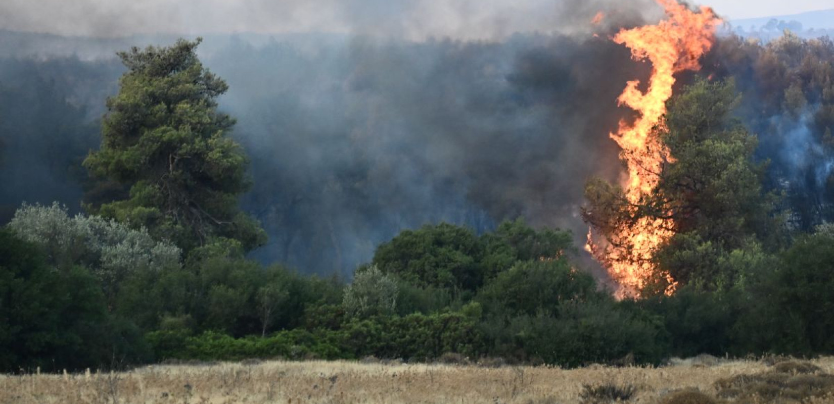 Φωτιά στην Αττική: Πολύ επικίνδυνο το τοξικό νέφος - Τι έδειξαν οι σταθμοί μέτρησης