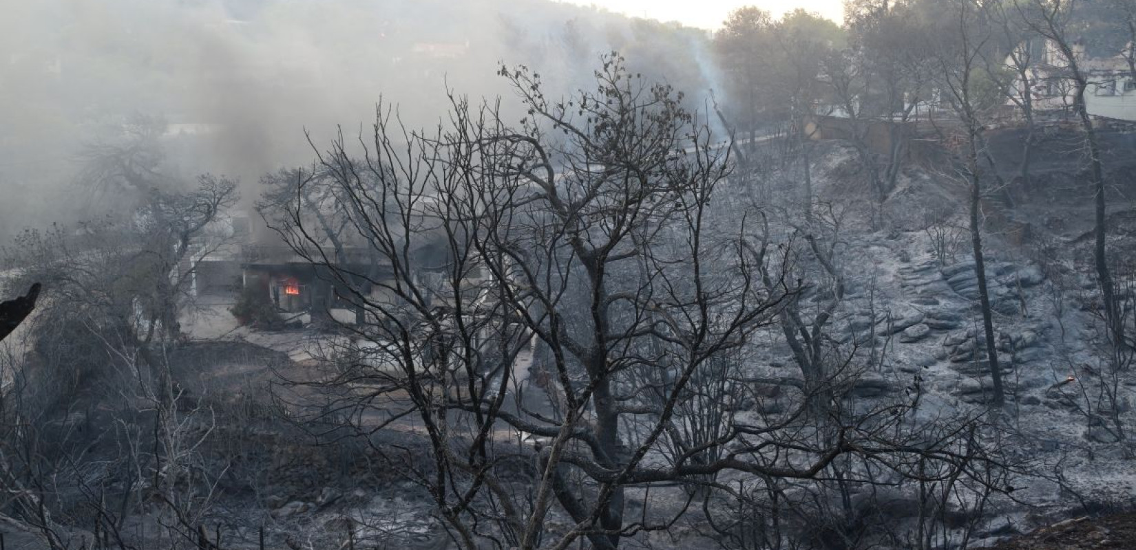 Φωτιά στην Αττική: Δύο συλλήψεις και δεκάδες προσαγωγές για πλιάτσικο στα καμένα (βίντεο)