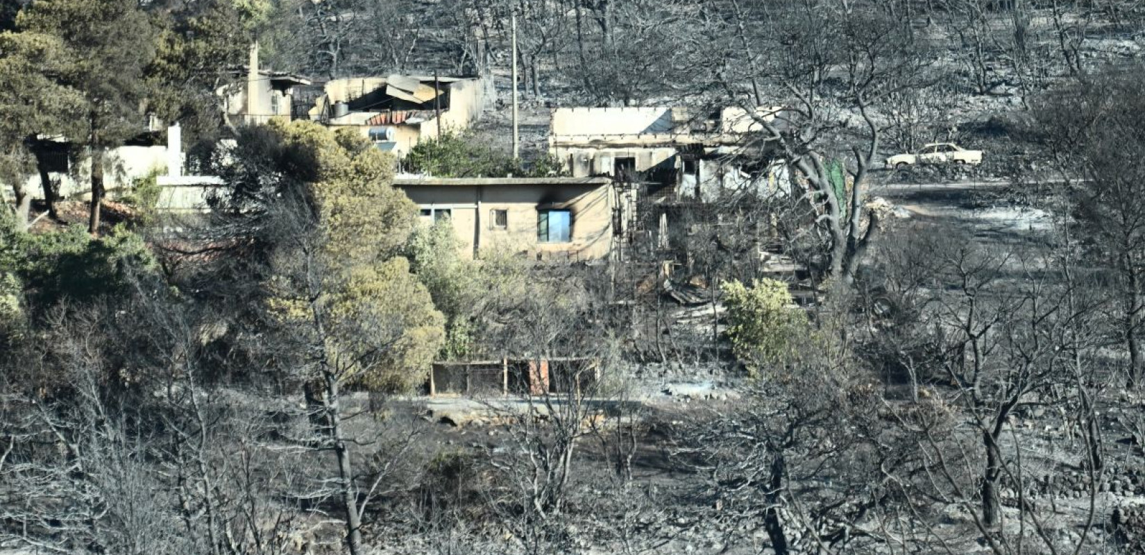 Meteo: Στάχτη έγινε το 37% των δασών της Αττικής τα 8 τελευταία χρόνια (Χάρτες)