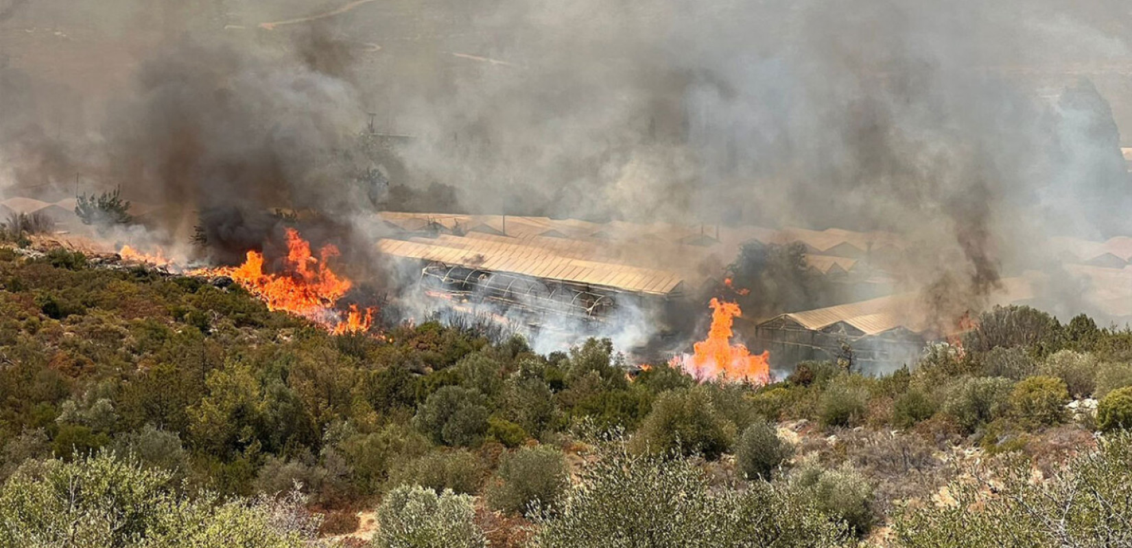 Φωτιά στην Αττική: Στα 150 μέτρα από τα σπίτια οι φλόγες στο Μαραθώνα - Καίγονται τα φυτώρια (βίντεο, φωτ.)