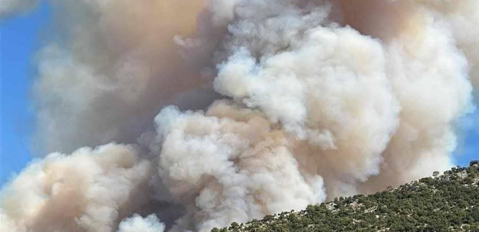 Σε ύφεση η φωτιά στον Παλαμπά Θεσπρωτίας