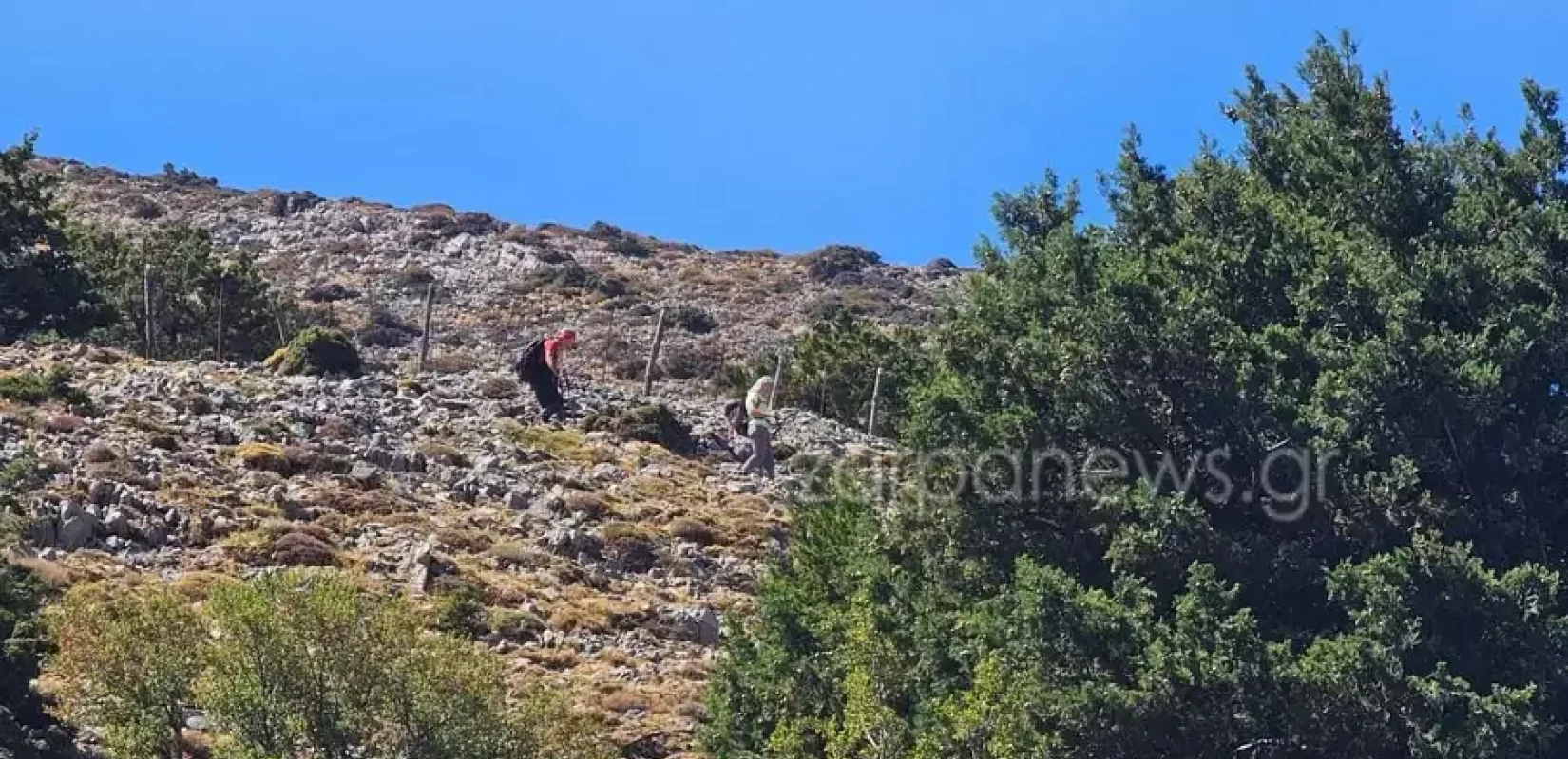Ολοκληρώθηκε με επιτυχία η διάσωση του μελισσοκόμου που έπεσε στο φαράγγι της Σαμαριάς