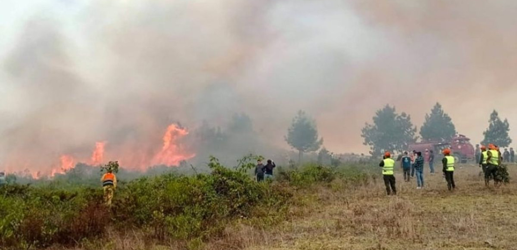 «Συναγερμός» για υψηλό κίνδυνο πυρκαγιάς σε Θεσσαλονίκη και Χαλκιδική