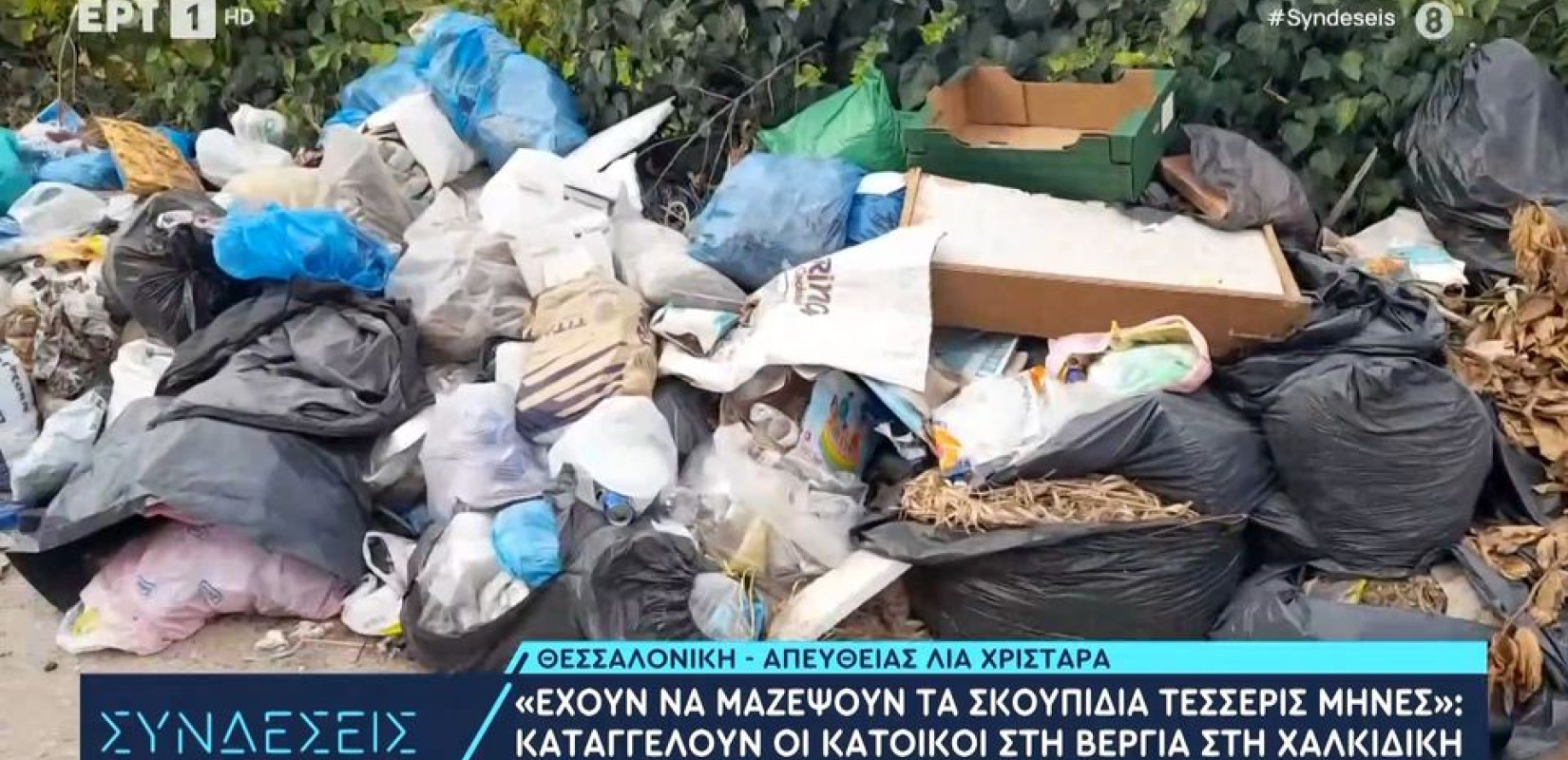 Χαλκιδική: «Έχουν να μαζέψουν τα σκουπίδια τέσσερις μήνες» καταγγέλουν οι κάτοικοι της Βεργιάς (βίντεο)