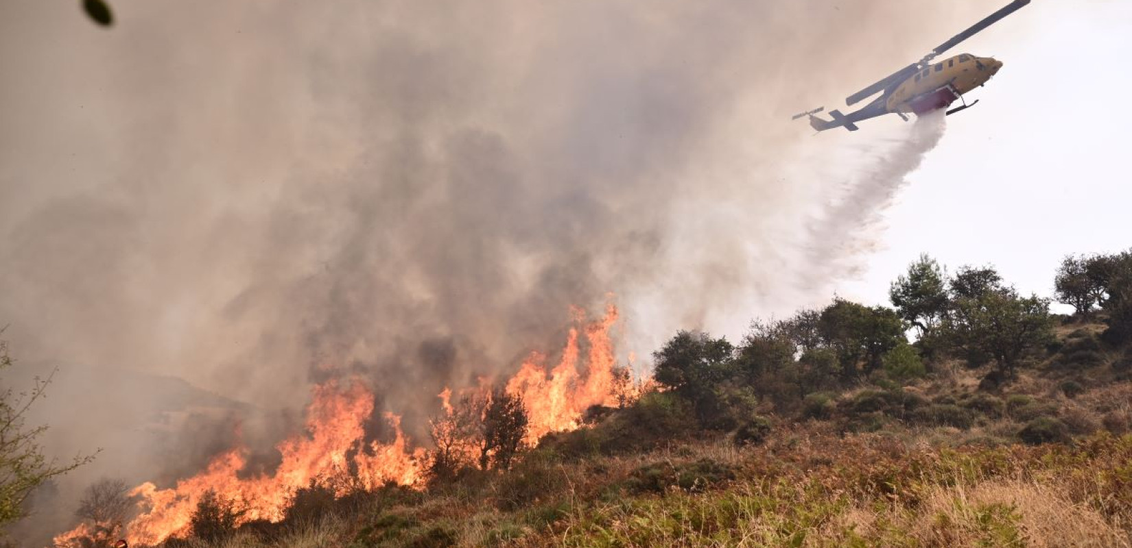 Σε κάπνισμα μελισσιών φαίνεται ότι οφείλεται η έναρξη της πυρκαγιάς στα Ροζενά Ξυλοκάστρου