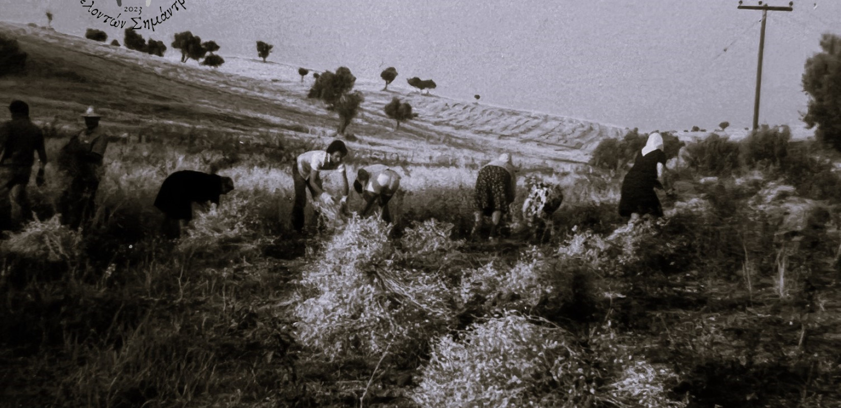 Παγκόσμια Ημέρα Αγρότισσας: Τέσσερις γυναίκες μιλούν για την επιλογή τους να ασχοληθούν με τον πρωτογενή τομέα