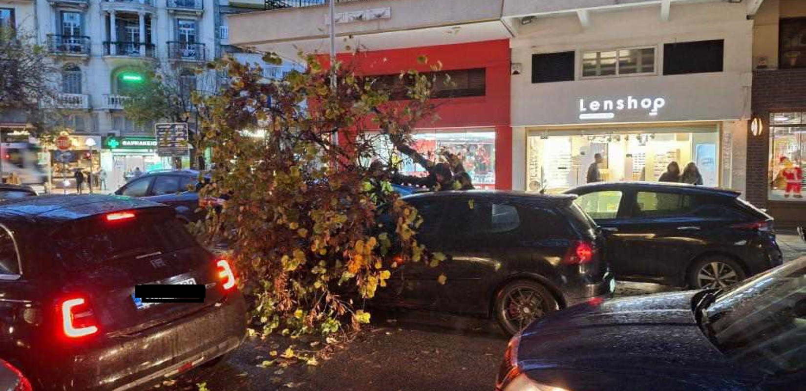 Θεσσαλονίκη: Δέντρα έπεσαν σε αυτοκίνητα στο κέντρο - Δείτε φωτογραφίες