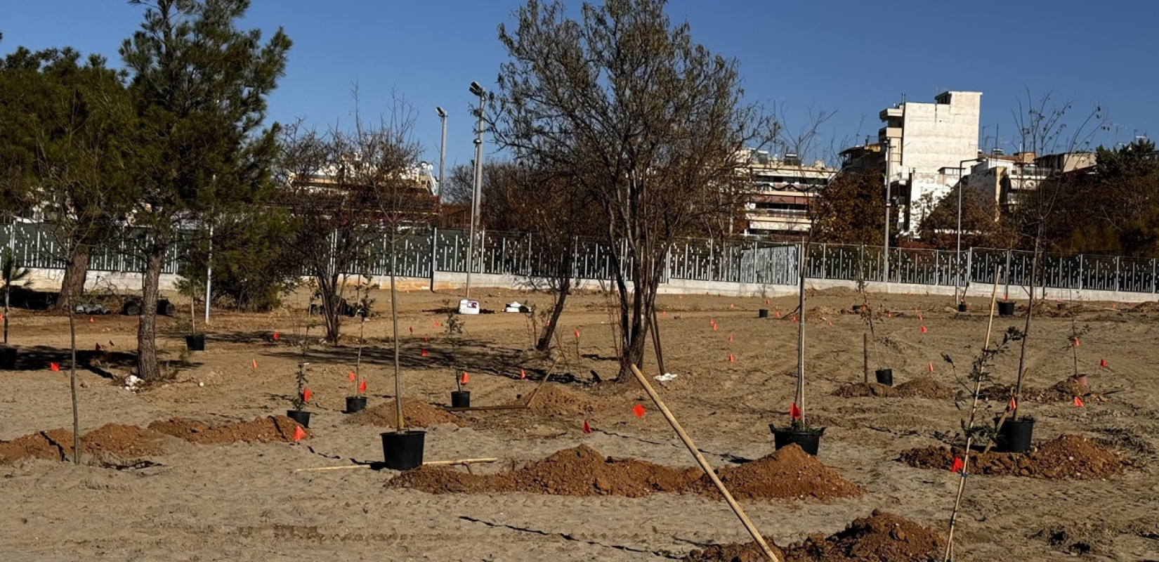 Θεσσαλονίκη: Άρχισε η φύτευση 7.000 δέντρων στο Μητροπολιτικό Πάρκο Παύλου Μελά