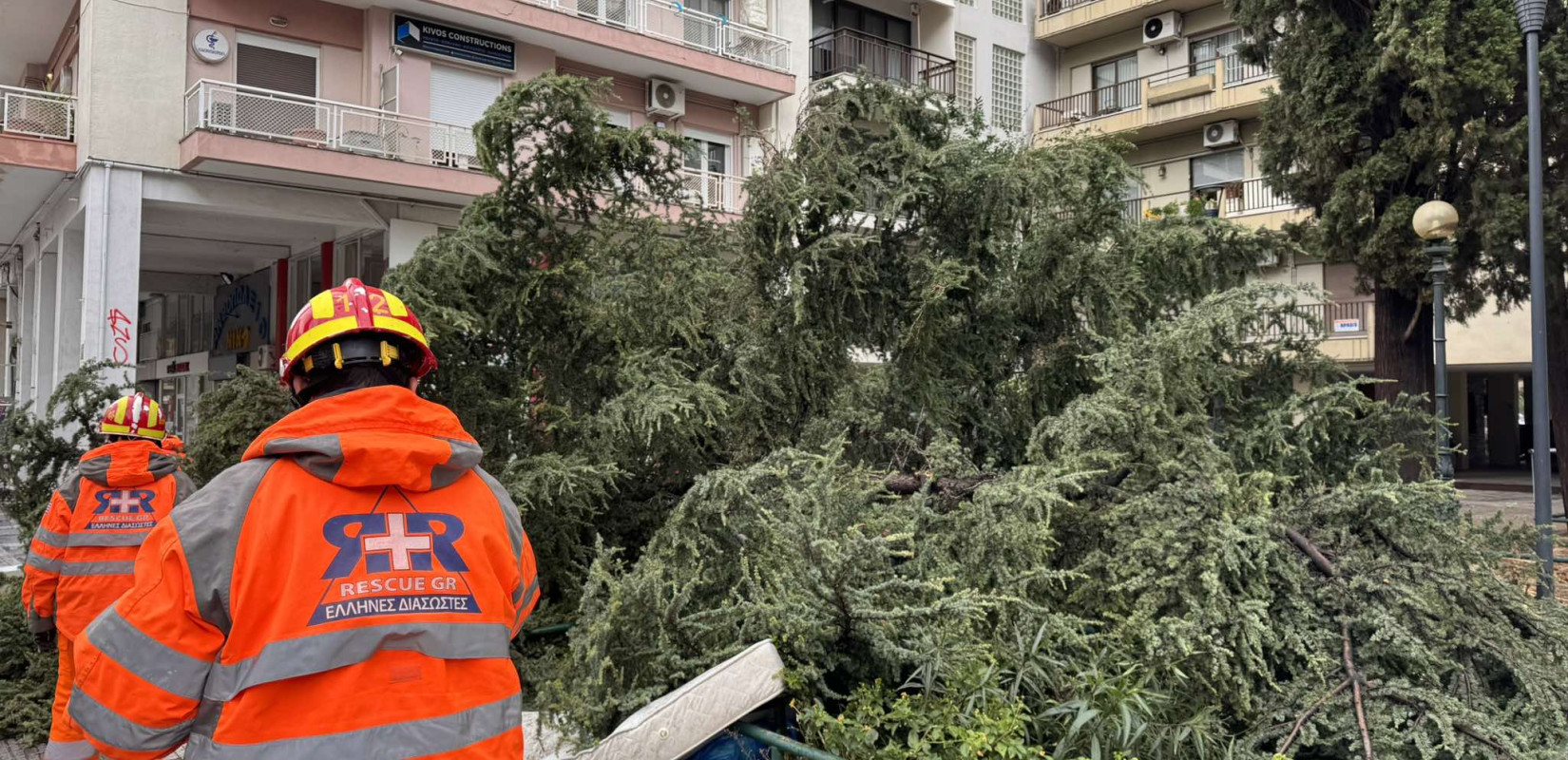 Στ. Αγγελούδης: Έπεσαν πάνω από 700 δέντρα στη Θεσσαλονίκη με την κακοκαιρία «Bora» - Θα φυτέψουμε πάνω από 5.000 το 2025