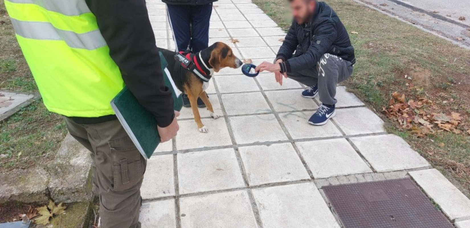 Θεσσαλονίκη: Έλεγχοι σε ιδιοκτήτες δεσποζόμενων ζώων - Πρόστιμα άνω των 8.000 ευρώ τον Νοέμβριο (φωτ.)