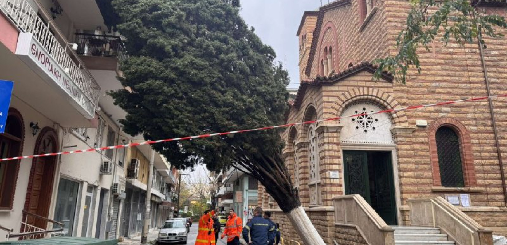 Θεσσαλονίκη: Πανύψηλο κυπαρίσσι έπεσε πάνω σε κτήριο στην Κάτω Τούμπα (φωτ.)