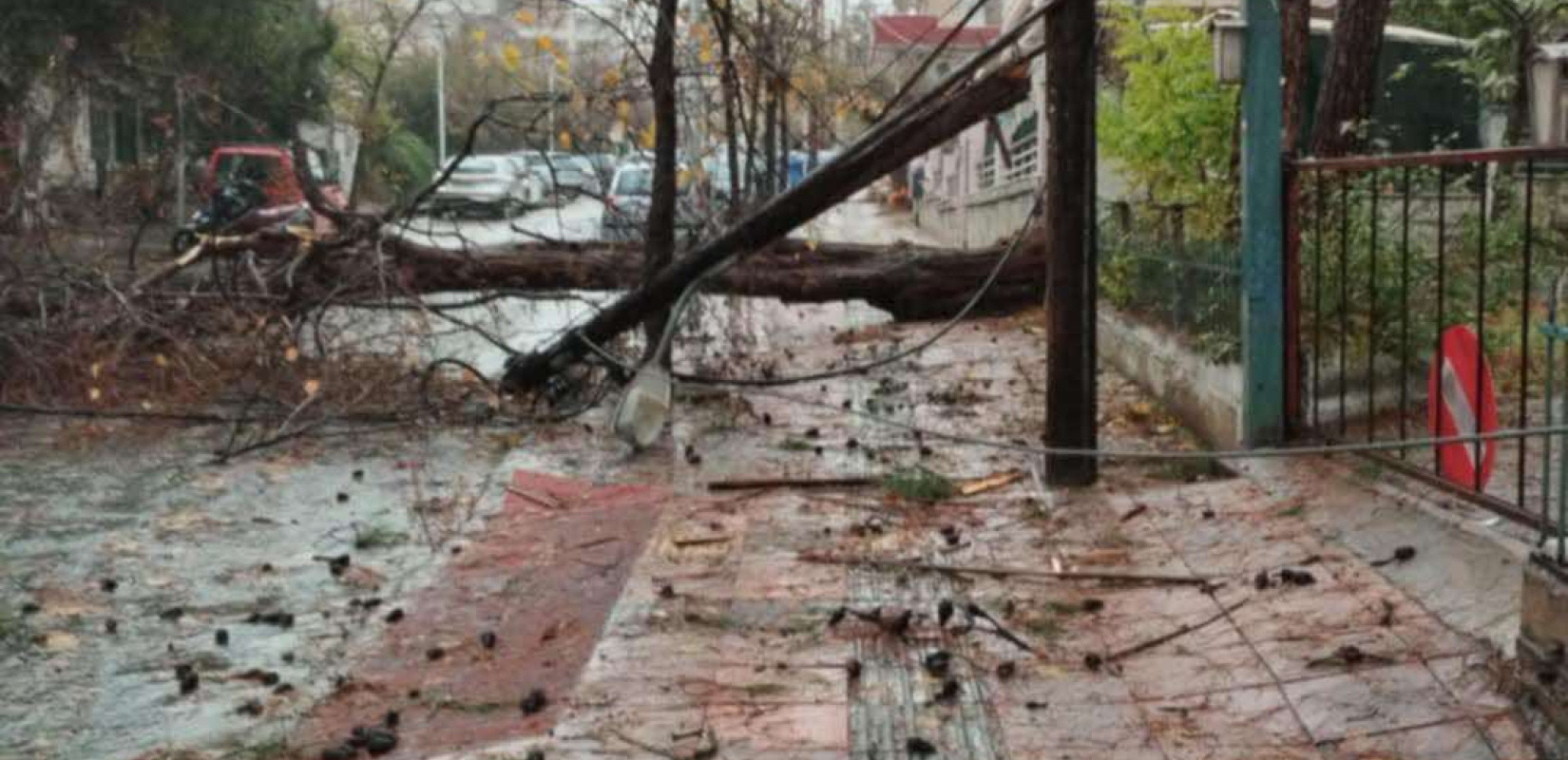 Διακόσια δέντρα κατέστρεψε η κακοκαιρία στο δήμο Θέρμης