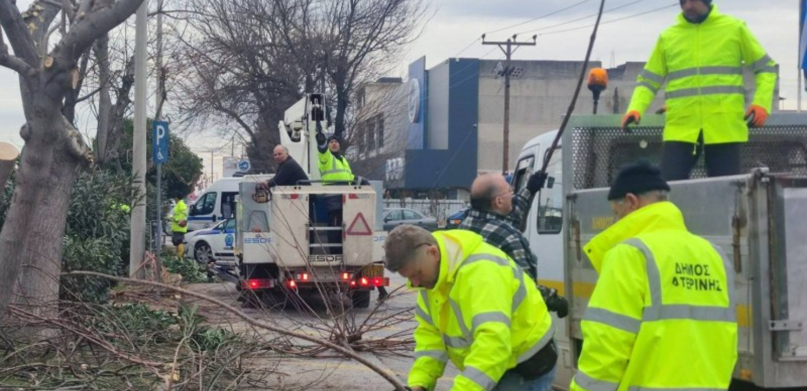 Δήμος Κατερίνης: Άμεση εξυπηρέτηση των δημοτών από την αντιδημαρχία Πρασίνου