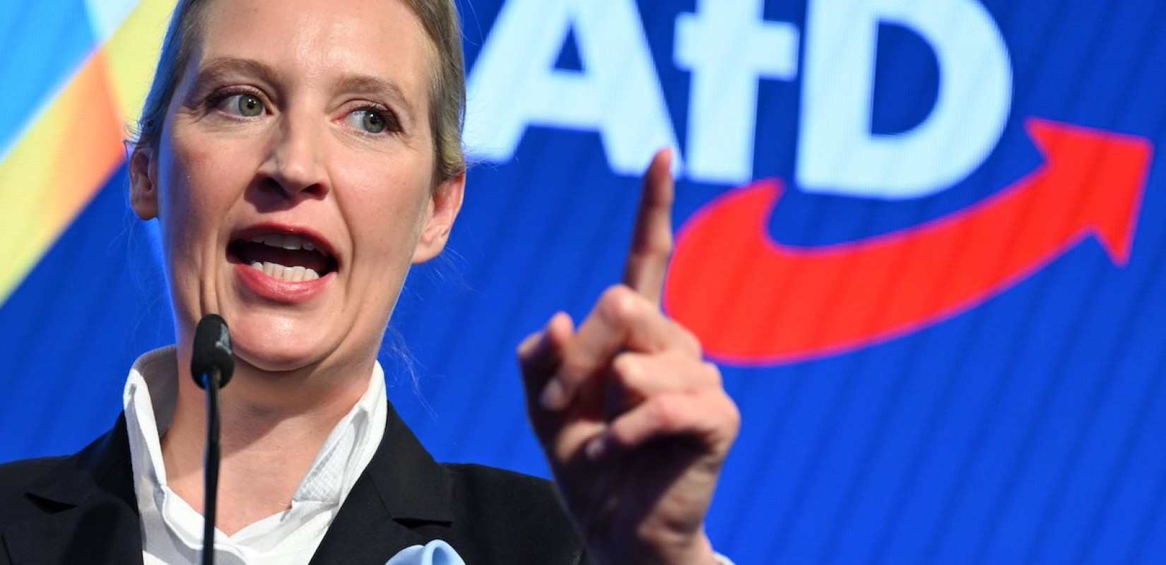 Γερμανία: Άνοδος της ακροδεξιάς AfD στο 25% καταγράφει δημοσκόπηση