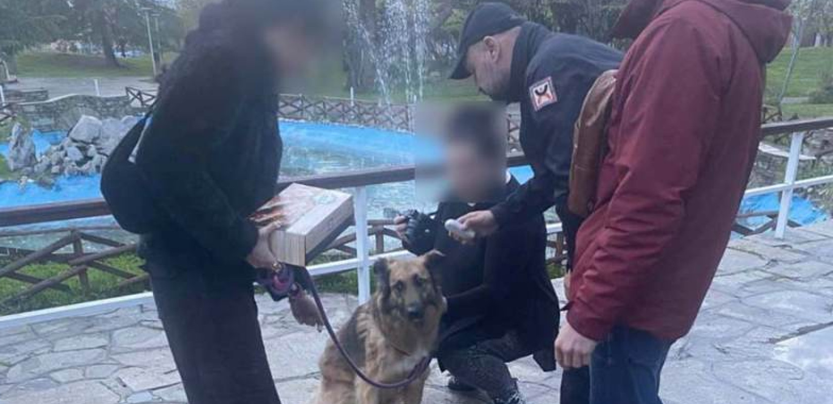 Θεσσαλονίκη: Πρόστιμα άνω των 8.000 ευρώ σε κηδεμόνες ζώων συντροφιάς τον μήνα Μάρτιο
