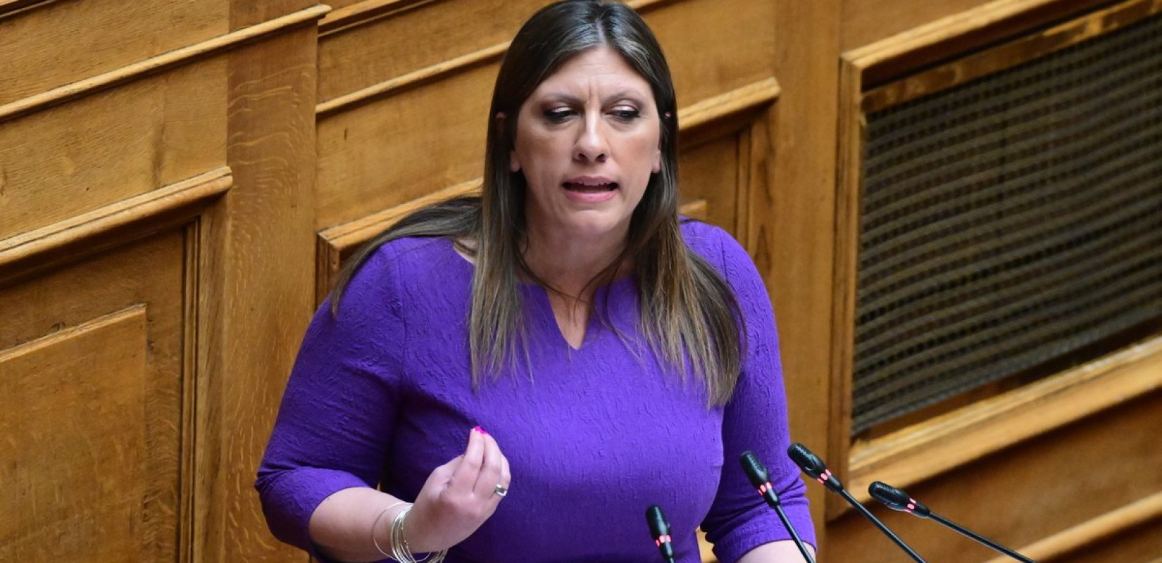 Ζ. Κωνσταντοπούλου για ΟΠΕΚΕΠΕ: «Το μόνο που κάνει ο κ. Μητσοτάκης είναι να επιβεβαιώνει ότι είναι επικεφαλής μιας εγκληματικής οργάνωσης»
