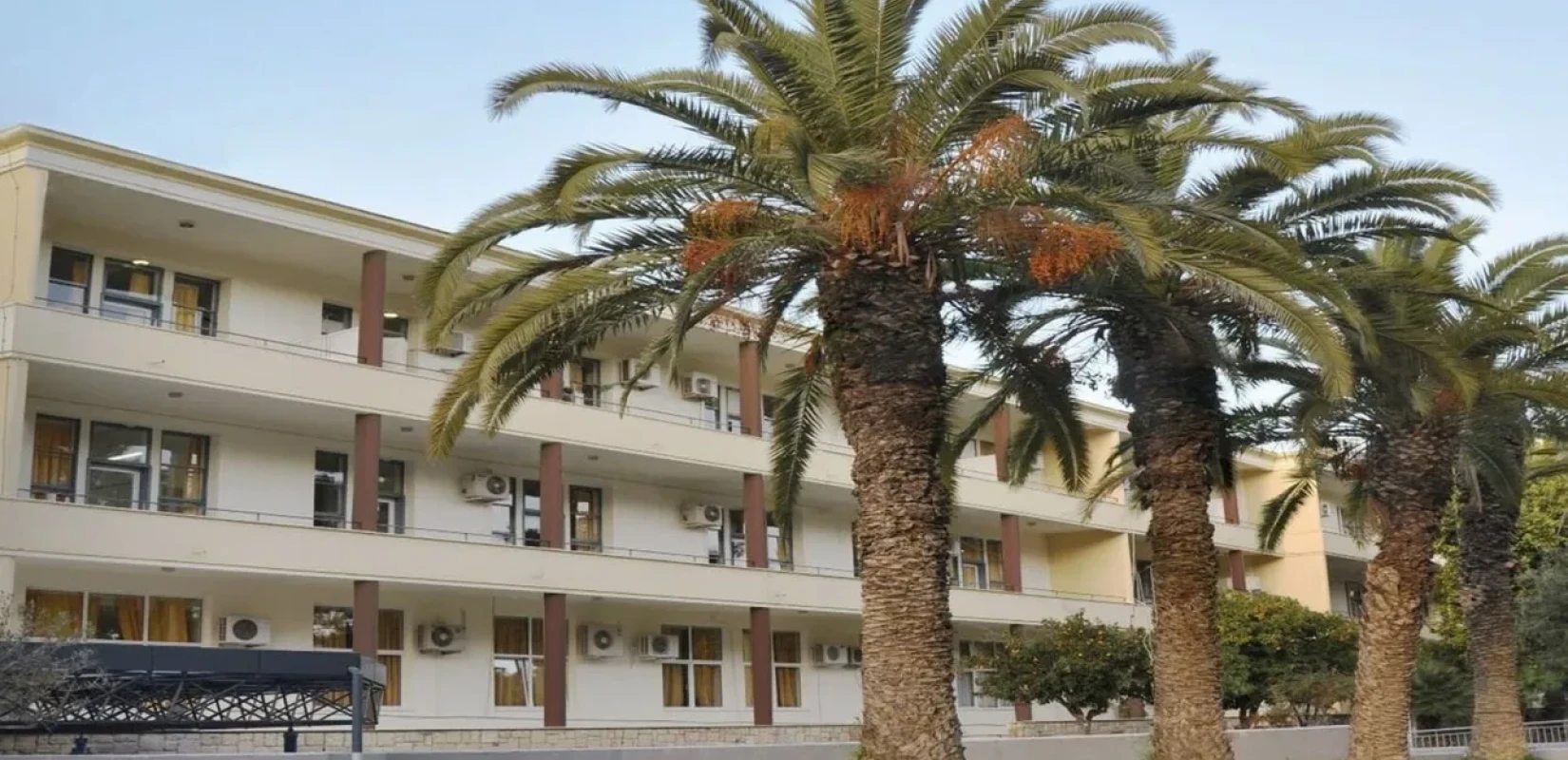 Στο νοσοκομείο με αλλεργικό σοκ 7χρονος - Τον τσίμπησε μέλισσα