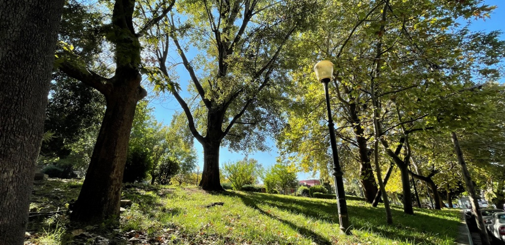 ΟΦΥΠΕΚΑ: Ευρωπαϊκή ημέρα NATURA 2000 με εκδηλώσεις σε όλη την Ελλάδα