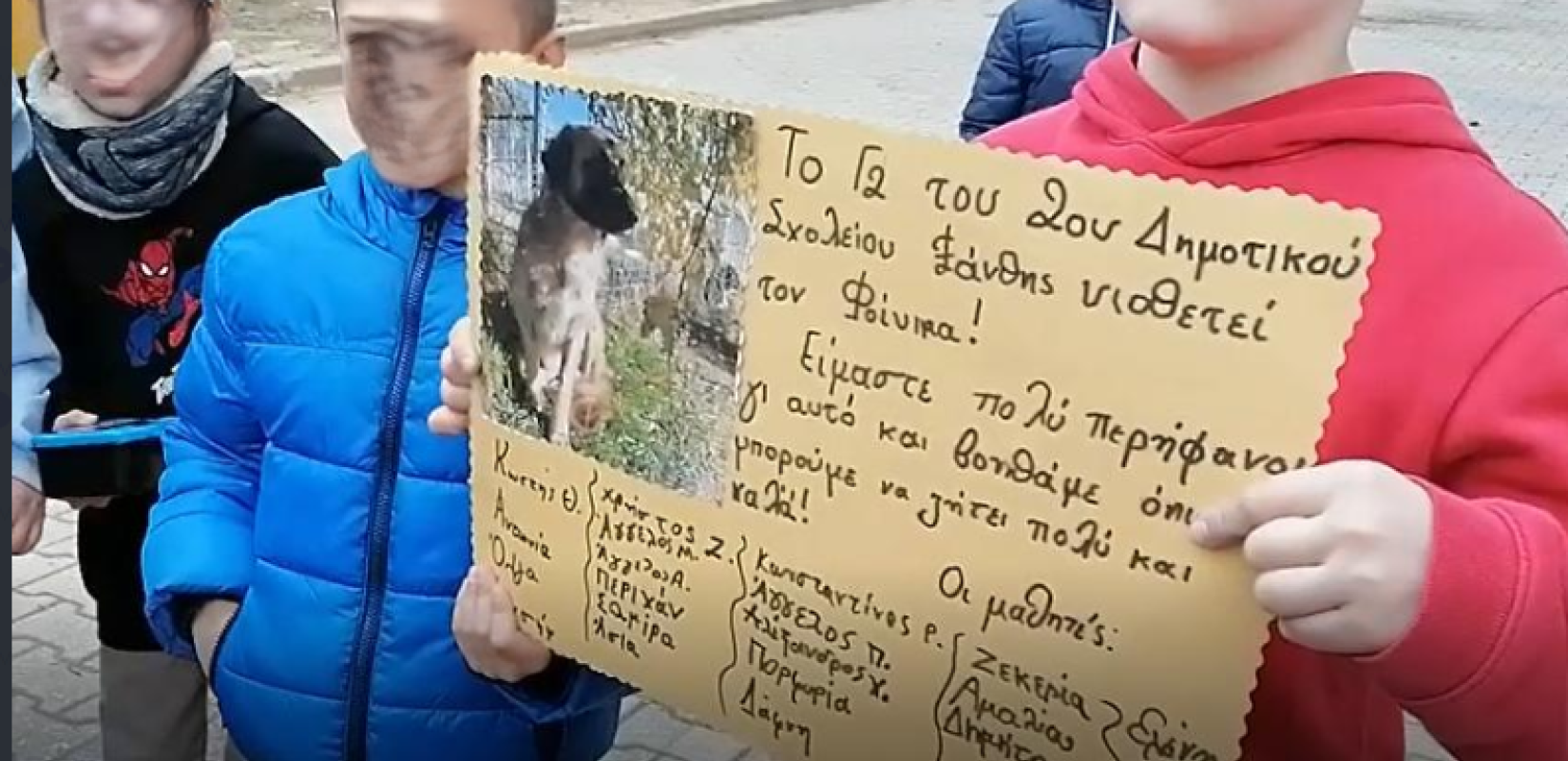 Ξάνθη: Ο Φοίνικας βρήκε μια νέα «οικογένεια» στο 2ο Δημοτικό Σχολείο Ξάνθης