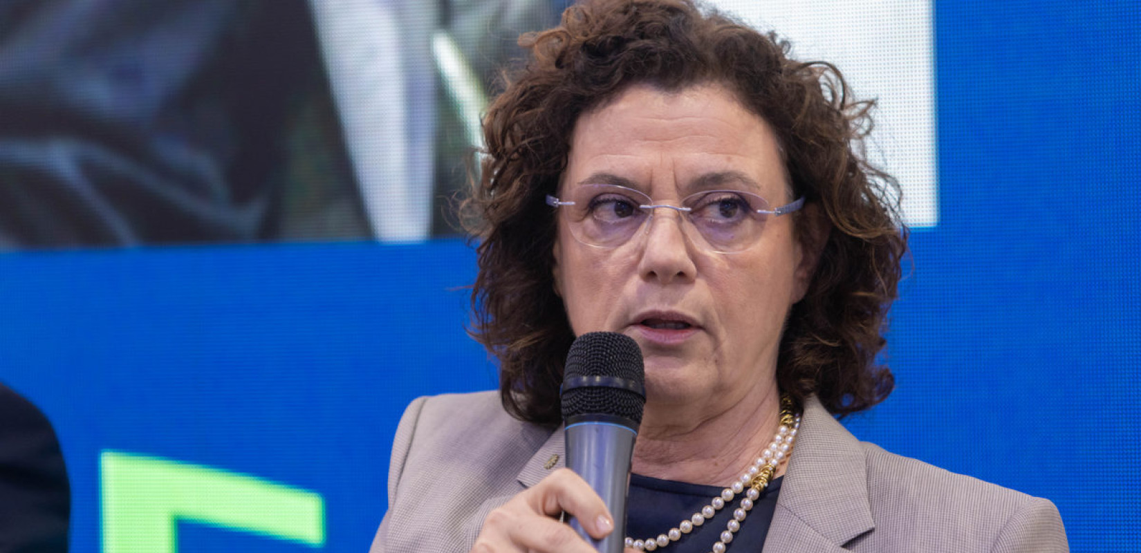 FFF 2025 - Λουκία Σαράντη: «Η ανάπτυξη απαιτεί στρατηγική, χρειαζόμαστε σχέδιο 15ετιας»