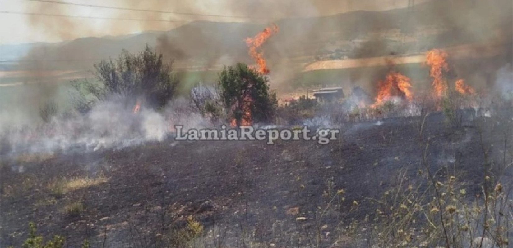 Φωτιά σε αγροτοδασική περιοχή στον Δομοκό