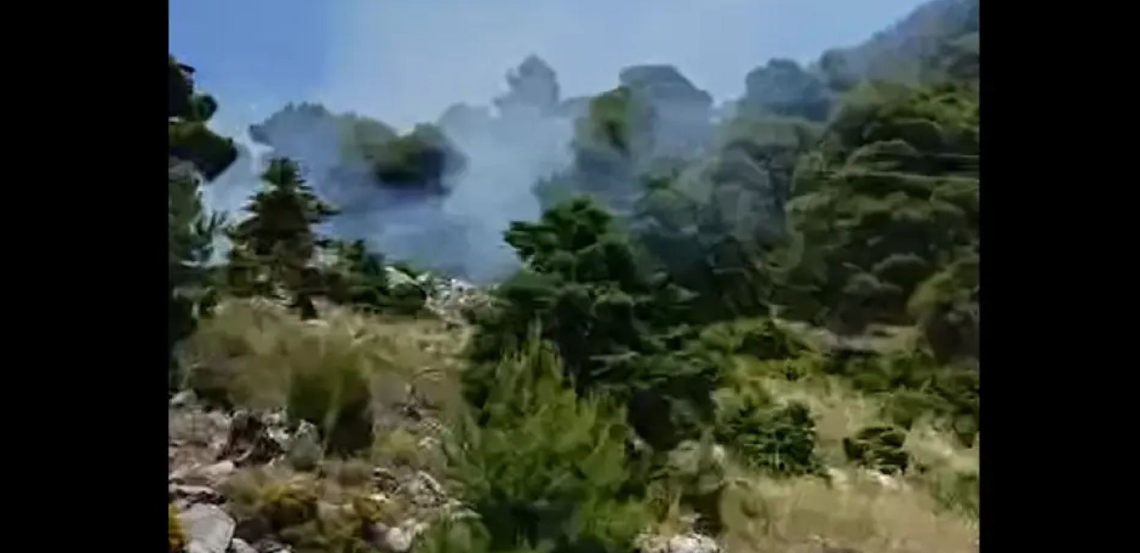 Αττική: Υπό πλήρη έλεγχο η πυρκαγιά στα Βίλια- Κάηκαν σχεδόν 5 στρέμματα