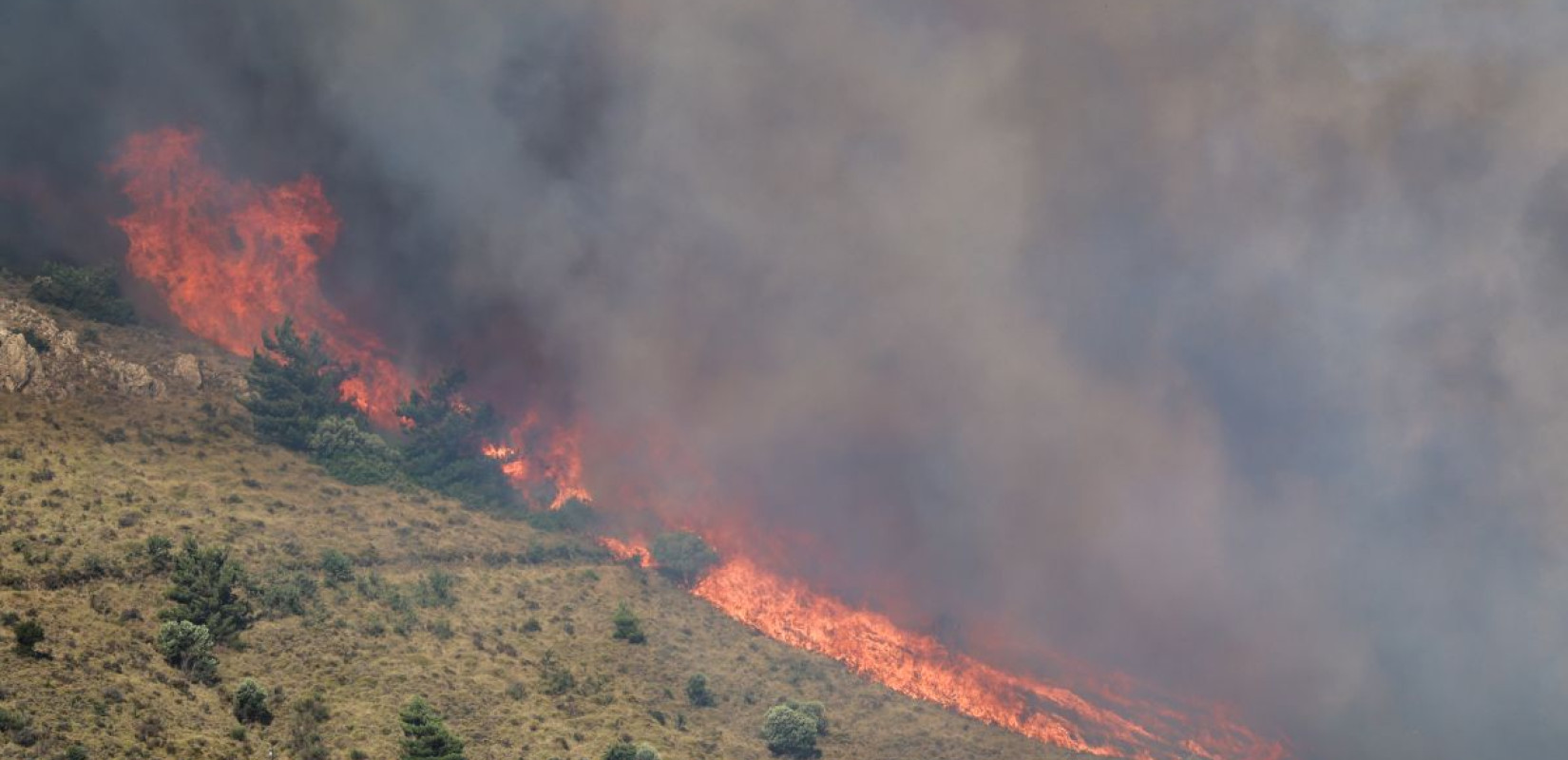 Φωτιά στην Οινόη Αττικής τα ξημερώματα – Μήνυμα του 112 στους κατοίκους