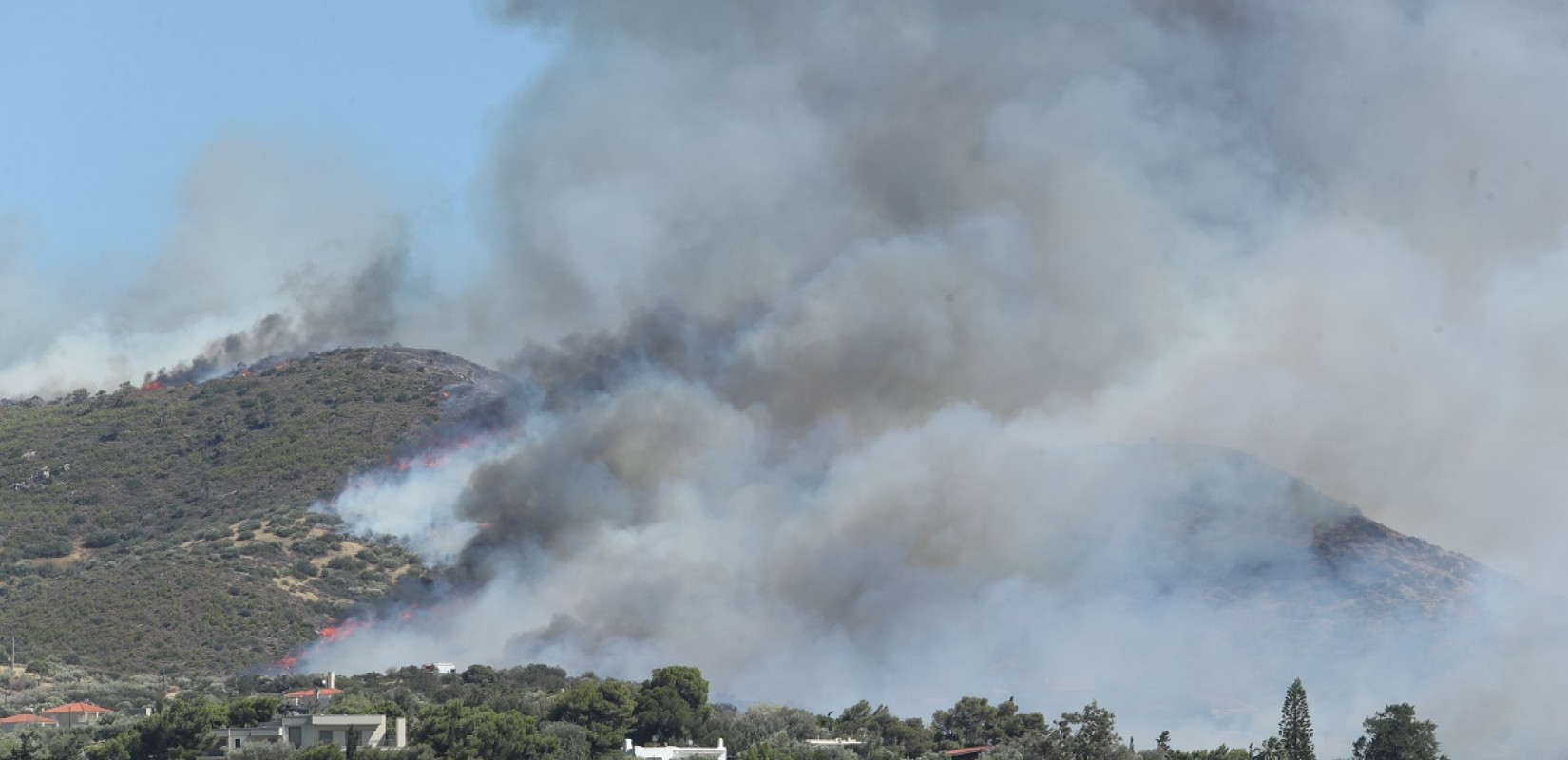 Παλαιά Φώκαια: Ξεκινά η καταμέτρηση της ζημιάς από τη φωτιά και η αποκατάσταση της περιοχής