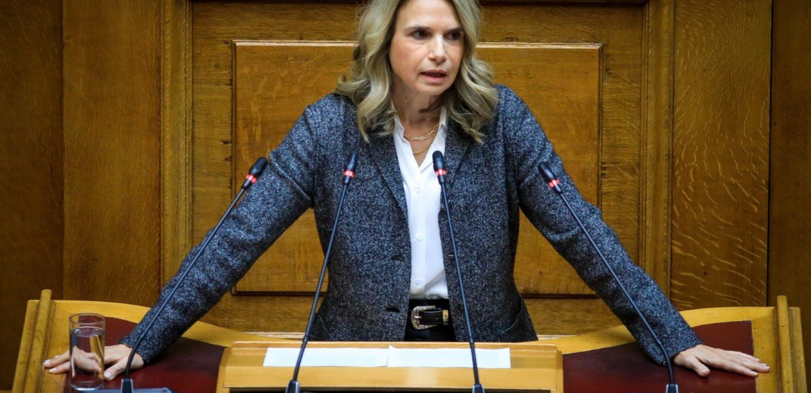 Μιλένα Αποστολάκη στη «ΜτΚ»: Το σκάνδαλο του ΟΠΕΚΕΠΕ φέρει αποκλειστικά την υπογραφή της ΝΔ