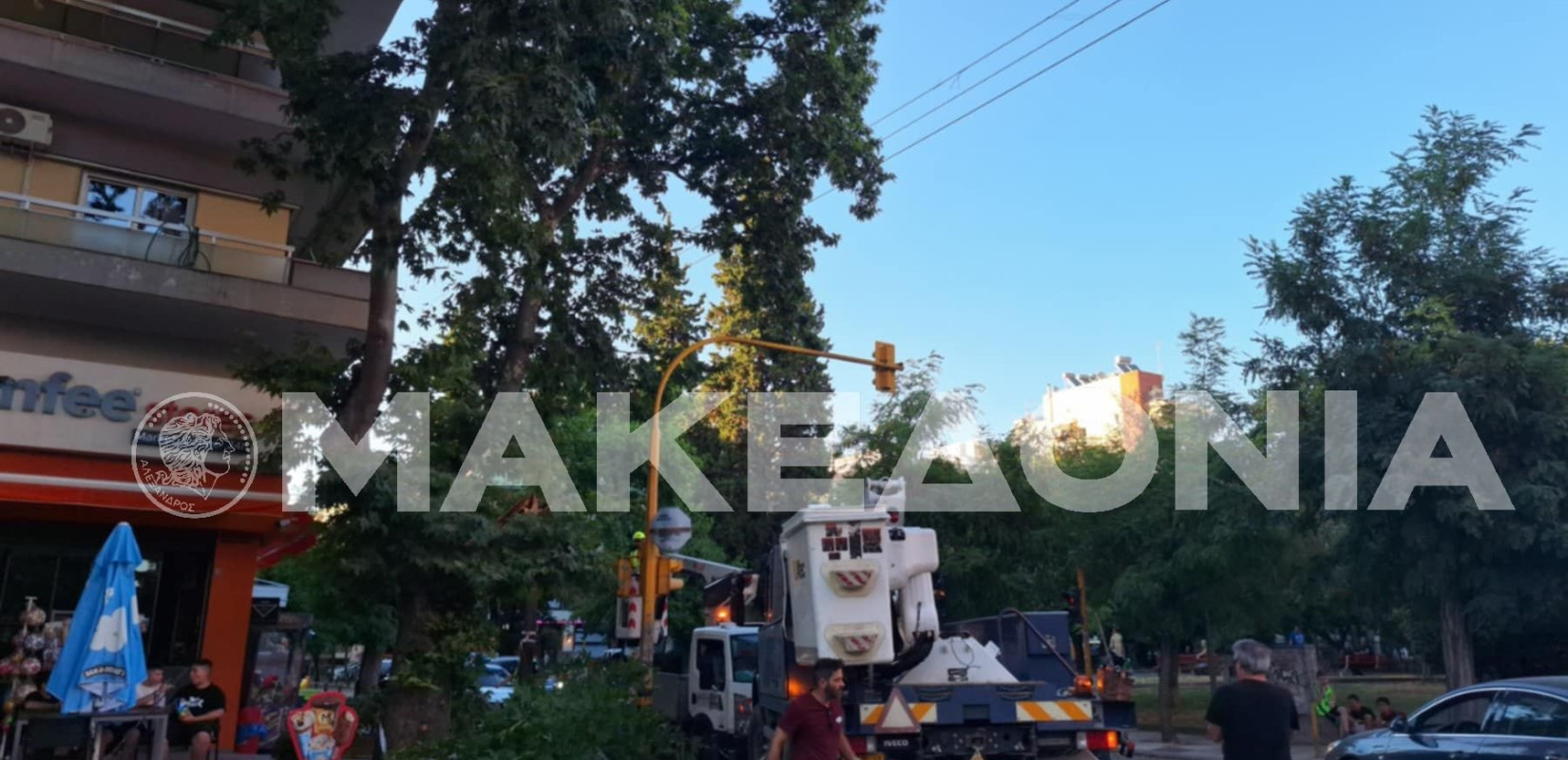 Θεσσαλονίκη: Αναστάτωση με δέντρο έπεσε σε καλώδια του ΔΕΔΔΗΕ λόγω των ανέμων - Δείτε φωτογραφίες