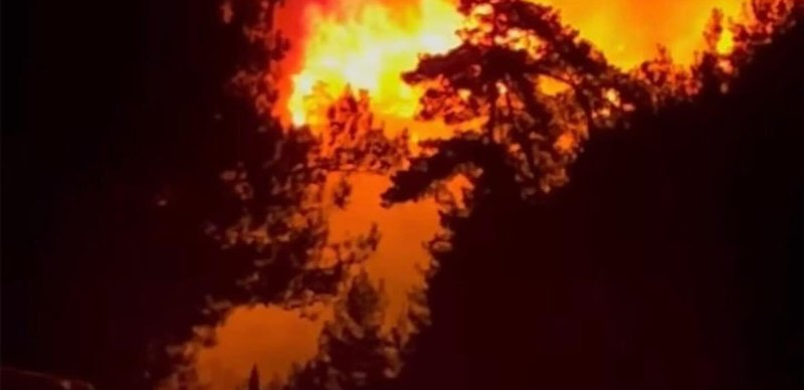 Σε δύο μέτωπα η μεγάλη φωτιά στη Θάσο: Καταστράφηκε beach bar, εκκενώθηκαν ξενοδοχεία - Χωρίς ρεύμα το μισό νησί (βίντεο)