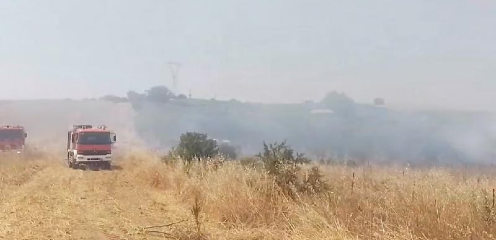Χαλκιδική: Οριοθετήθηκε άμεσα φωτιά στη Νέα Φώκαια (βίντεο)