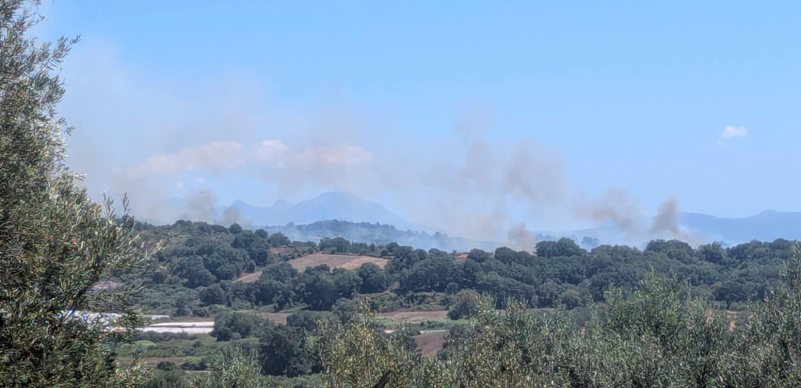 Οριοθετήθηκε η φωτιά στο Μονολίθι Πρέβεζας (βίντεο)