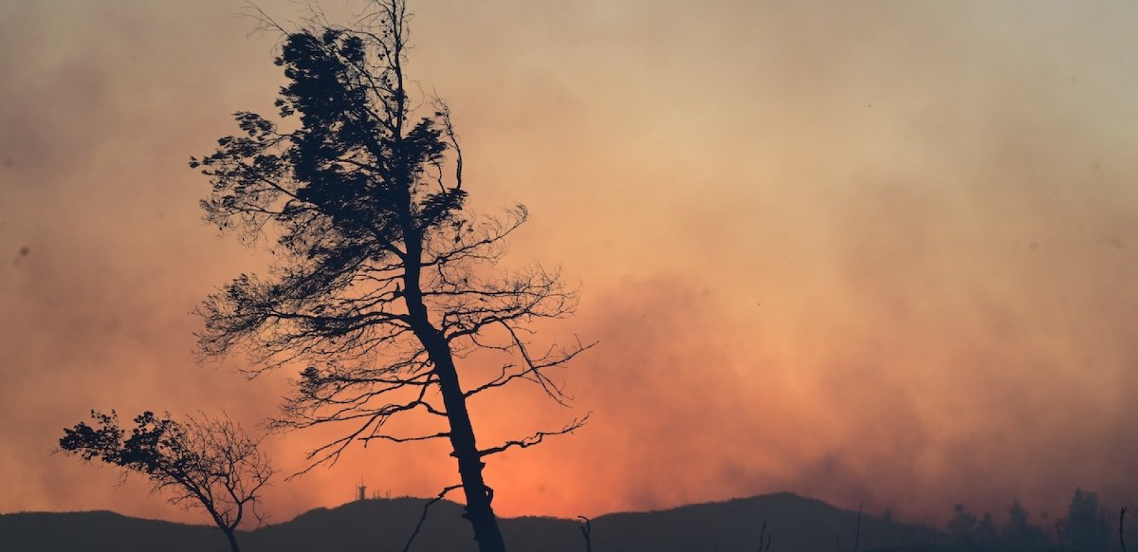 Μελτέμια και καύσωνας φέρνουν «κόκκινο συναγερμό» για φωτιές - Στο επίκεντρο Αττική, Βοιωτία και Εύβοια