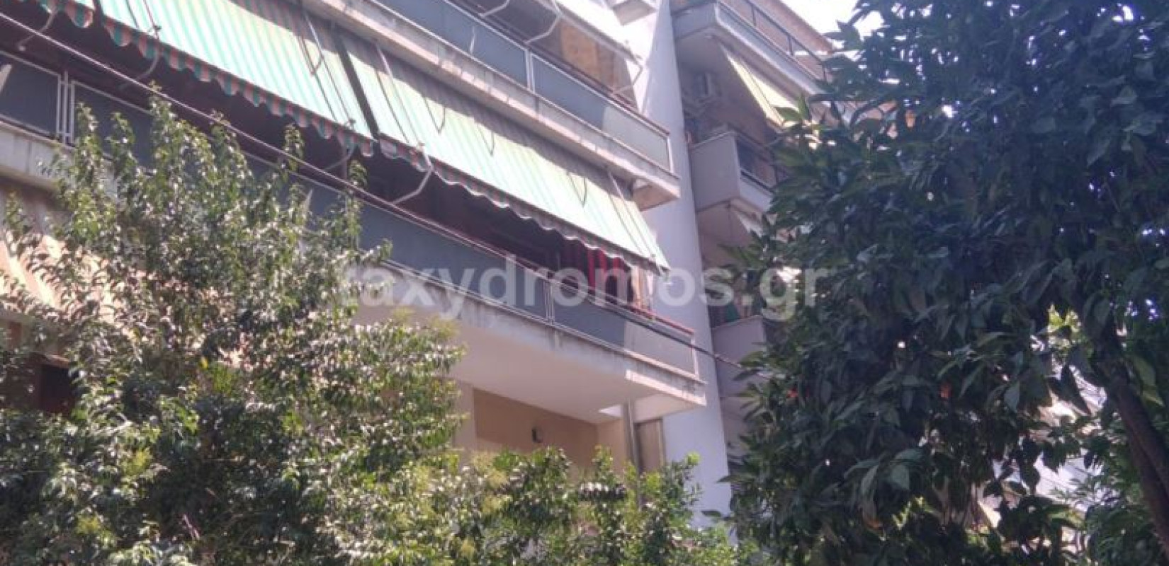 Βόλος: Τρεις μέρες πριν σκότωσε ο 86χρονος την σύζυγό του και αυτοκτόνησε