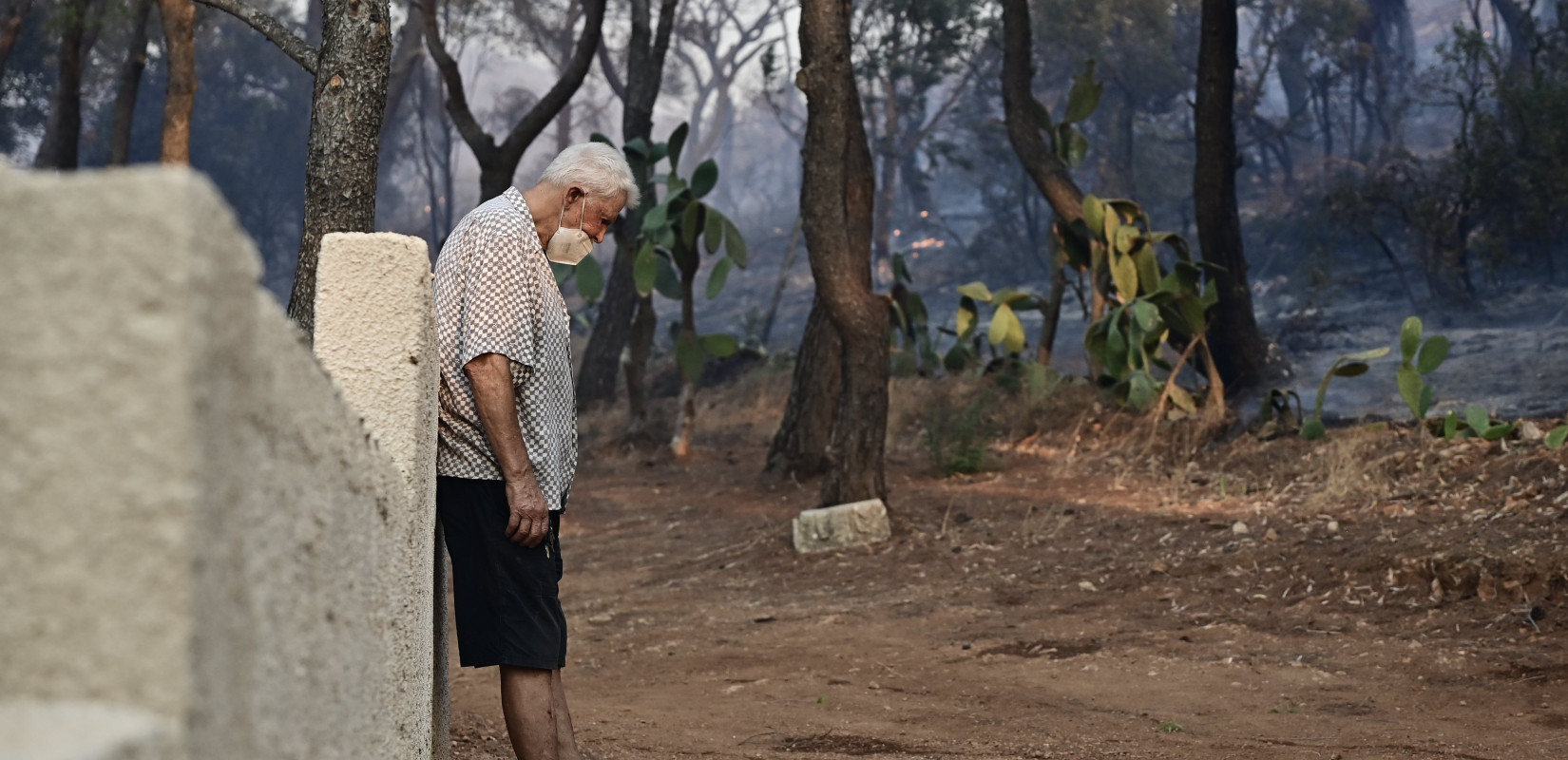 Υπό έλεγχο η πυρκαγιά στην Αν. Αττική - Αποτεφρώθηκαν 40.000 στέμματα - Εκκενώθηκαν 17 οικισμοί